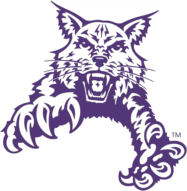 Abilene Christian Wildcats 1997-2012 Partial Logo v2 iron on transfers for fabric
